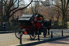 16J Taking A Horse And Carriage Ride Next To Bethesda Terrace Through Central Park In November.jpg